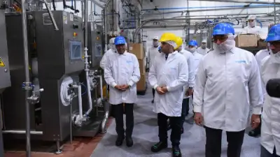 وزير العمل: الحماية الاجتماعية للعمال طريق زيادة الإنتاج وبيئة العمل اللائقة