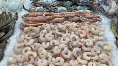 تباين أسعار الأسماك في أسواق المنيا مع دخول شهر رمضان