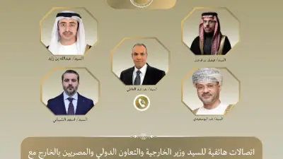 وزير الخارجية المصري يؤكد رفض أي ذرائع للمساس بسيادة الدول العربية