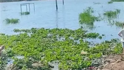 مأساة مزدوجة في الفرافرة: غرق عامل واختناق شابين يهزان الوادي الجديد