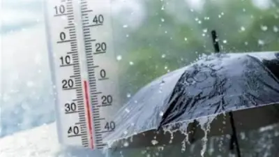 الأرصاد المصرية تحذر من شبورة وأمطار خفيفة.. تفاصيل طقس الثلاثاء