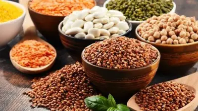 تراجع أسعار المحاصيل الزراعية عالمياً مع هبوط النفط وتهدئة مخاوف الحرب مع إيران