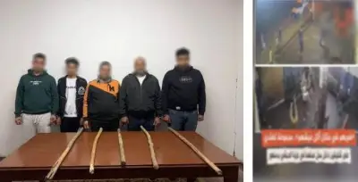 ضبط أطراف مشاجرة دموية داخل ورشة بالبحيرة بعد تداول فيديو على مواقع التواصل