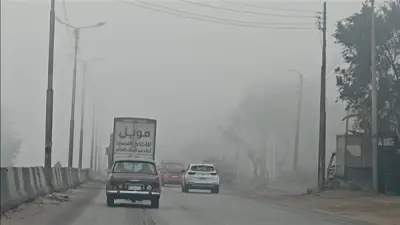 الأرصاد تحذر قائدي السيارات من شبورة مائية كثيفة صباح الغد على شمال البلاد