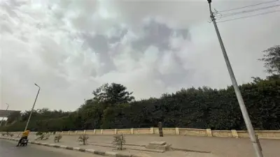 الأرصاد الجوية تعلن تفاصيل طقس الأربعاء: دفء نهاراً وبرودة صباحية على معظم الأنحاء