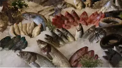 تقلبات أسعار الأسماك في سوق العبور: انخفاض البلطي والجمبري وارتفاع الكابوريا وقشر البياض