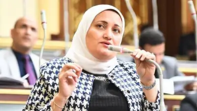 النائبة سناء السعيد: المنتزهات التكنولوجية بالجامعات تربط الخريجين بسوق العمل