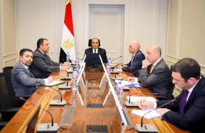 وزير الخارجية المصري يجدد دعوته لتشكيل قوة عربية مشتركة قادرة على مواجهة التهديدات