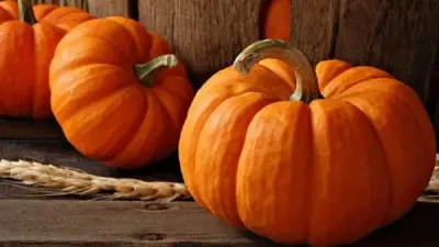 خبير تغذية يوصي بتناول قرع العسل لفوائده الصحية المذهلة