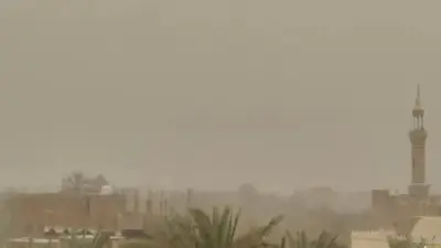 عواصف ترابية تضرب الوادي الجديد.. المحافظة ترفع درجة الاستعداد القصوى