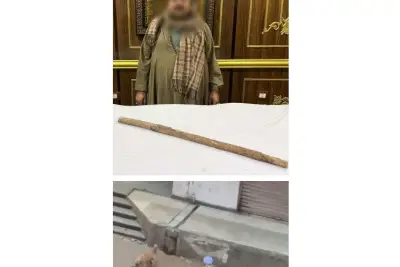 القبض على حارس عقار في الجيزة بعد تعذيبه لكلاب ضالة بعصا خشبية