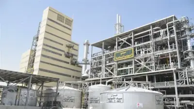 دعم الدولة للمنتج المحلي: حزمة حوافز جديدة للمنشآت الصناعية الوطنية