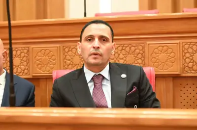 التلواني: القاهرة تسعى لفتح قنوات للحوار بين مختلف الأطراف لخفض التصعيد