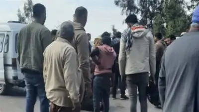 إصابة شابين في حادث دراجة بخارية بطريق طنطا الزراعي بالغربية