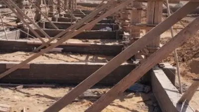 القاهرة تطلق مشروع شلتر الكلاب الضالة بالتبين لتحقيق التوازن بين السلامة العامة والرفق بالحيوان