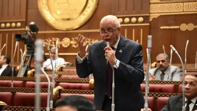 برلماني مصري: أمن الخليج خط أحمر لا يقبل المساس به من قبل أي جهة