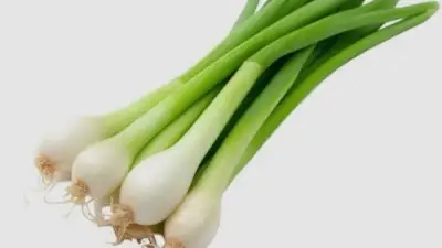 البصل الأخضر: كنز صحي يقي من الأمراض ويقوي العظام وينظم السكر