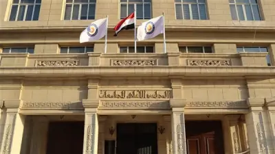 دليل شامل: خطوات معادلة الشهادات الأجنبية والدبلومات العليا في مصر