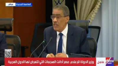 وزير الإعلام: الأزمة الحالية ستمر.. والبعض يهدف لهدم النهضة العربية