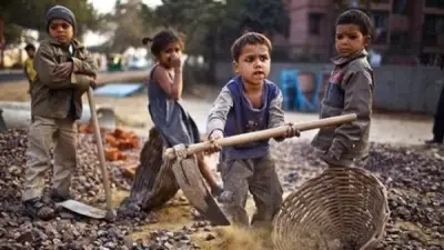 قانون العمل الجديد يفرض ضوابط صارمة لتشغيل الأطفال وتنظيم التدريب