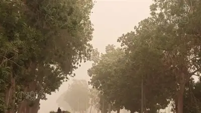 عاصفة ترابية عنيفة تضرب الأقصر لليوم الثاني وتتسبب في تعطيل الحركة والخدمات