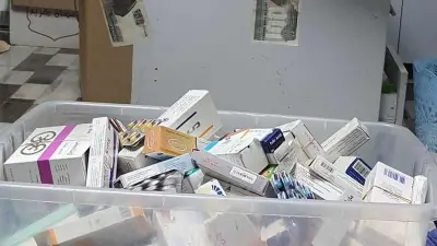 هيئة الدواء المصرية تؤكد استمرار الإفراج عن شحنات الأدوية خلال عيد الفطر دون توقف