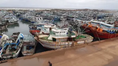 محافظ كفر الشيخ يؤكد استمرار إغلاق ميناء البرلس للصيد والملاحة بسبب سوء الأحوال الجوية