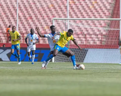 ستاد ماليفوز بثنائية نظيفة وصنداونز يتأهل إلى نصف نهائي دوري الأبطال