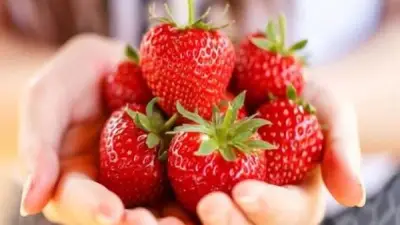 تناول الفراولة يوميًا: فوائد صحية مذهلة وتحذيرات هامة للجسم