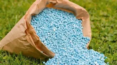 استقرار أسعار الأسمدة اليوم رغم نشاط السوق السوداء وارتفاع الطلب