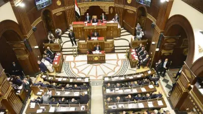 برلماني: مصر تتحرك بحكمة سياسية لحماية الأمن القومي العربي ومنع اتساع الأزمات