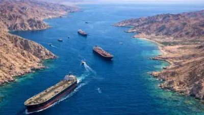 خبير بالناتو يكشف سر غياب مصر ودول عربية عن تحالف ترامب لتأمين مضيق هرمز