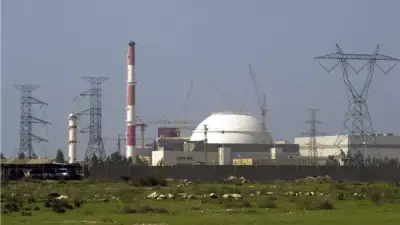 خبير روسي يحذر: تعطيل أنظمة تبريد محطة بوشهر النووية قد يؤدي لكارثة إقليمية