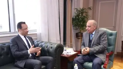 محمود عصمت: فتح المجال أمام القطاع الخاص للاستثمار في الكهرباء والبيانات