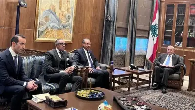 وزير الخارجية المصري يلتقي رئيس مجلس النواب اللبناني في بيروت لبحث الأزمة الإقليمية