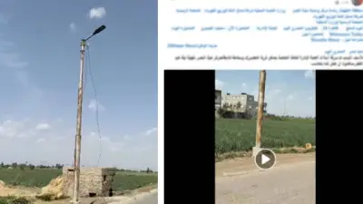 الداخلية تكشف حقيقة سرقة أسلاك الكهرباء بمنية النصر: مجرد أعمال صيانة