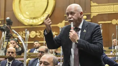 نائب: بيان مجلسي النواب والشيوخ يؤكد ريادة مصر في الدفاع عن استقرار المنطقة العربية