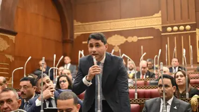 برلماني: البيان المشترك للنواب والشيوخ يعكس اصطفافًا وطنيًا خلف القيادة السياسية