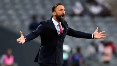 قبل مواجهة الزمالك.. شباب بلوزداد الجزائري يوقف مدربه الألماني سياد راموفيتش