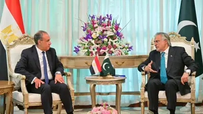 وزير الخارجية المصري وباكستاني يبحثان تعزيز العلاقات الثنائية والتطورات الإقليمية