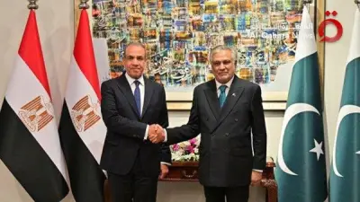 وزيرا خارجية مصر وباكستان يبحثان جهود خفض التصعيد والدفع بمسار التهدئة في المنطقة