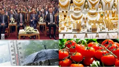 رسالة السيسي لترامب تطلب إيقاف الحرب.. ومفاجآت في أسعار الطماطم والذهب والطقس