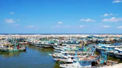 ميناء البرلس يعمل بكامل طاقته لليوم الثالث مع استقرار الطقس