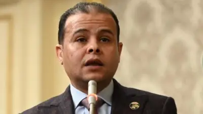 برلماني: الضربات الأمنية ضد 