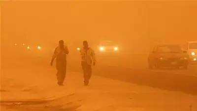 بعد تحذير الأرصاد من عاصفة ترابية.. روشتة وزارة الصحة للتعامل مع حساسية الأنف