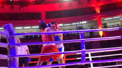 ختام تصفيات بطولة Road to the Pyramids للملاكمة استعدادًا للحدث الكبير في مايو