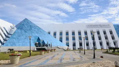 تقرير: شركة «WE» تتصدر سرعات الإنترنت المحمول في مصر بـ83 ميجابت/ثانية