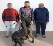 استغاثة على فيسبوك تقود الأمن لضبط بلطجية الكلاب في المنتزه