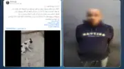 القبض على سائق في القاهرة بعد تعذيبه لكلب ضال ونشره على مواقع التواصل