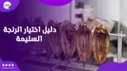 رنجة العيد: نصائح حيوية لاختيار الأسماك الآمنة وتجنب المخاطر الصحية